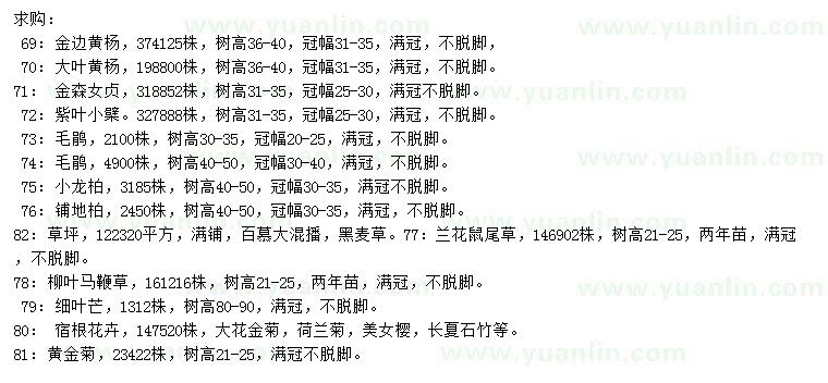 求購(gòu)金邊黃楊、大葉黃楊、金森女貞等
