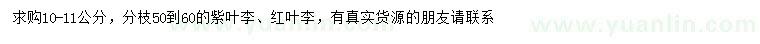 求購10-11公分紫葉李、紅葉李