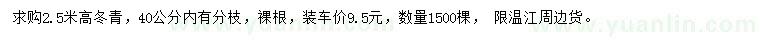 求購高2.5米冬青