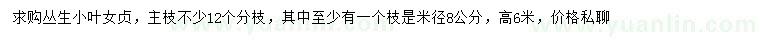 求購高6米叢生小葉女貞