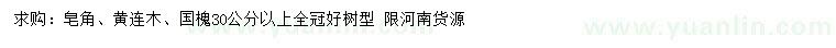 求購皂角、黃連木、國槐