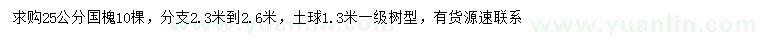 求購25公分國槐