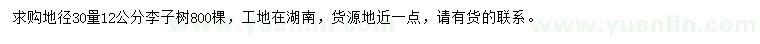 求購(gòu)地徑30量12公分李子樹(shù)
