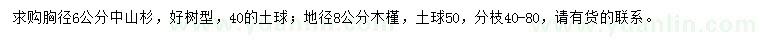 求購胸徑6公分中山杉、地徑8公分木槿