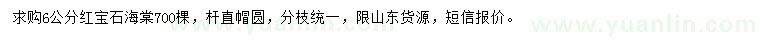 求購(gòu)6公分紅寶石海棠