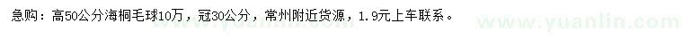 求購高50公分海桐毛球
