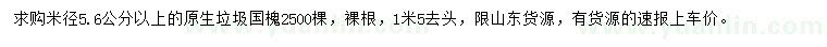 求購(gòu)米徑5.6公分以上垃圾國(guó)槐