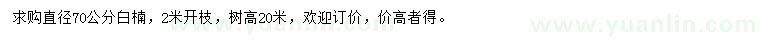 求購直徑70公分白楠
