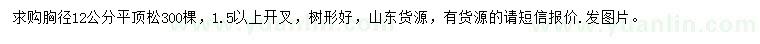求購(gòu)胸徑12公分平頂松