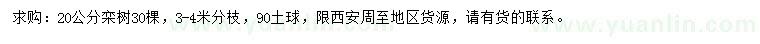 求購20公分欒樹