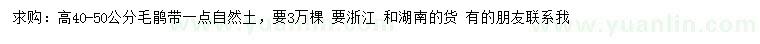 求購高40-50公分毛鵑