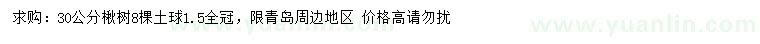求購(gòu)30公分楸樹(shù)