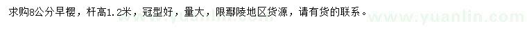 求購8公分早櫻