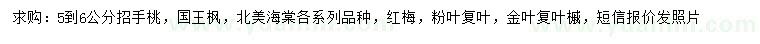 求購(gòu)招手桃、國(guó)王楓、北美海棠