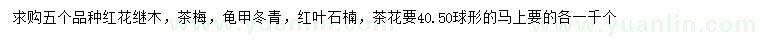 求購紅花繼木、茶梅、龜甲冬青等
