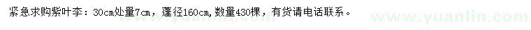 求購30公分處量7公分紫葉李