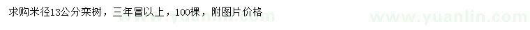 求購米徑13公分欒樹