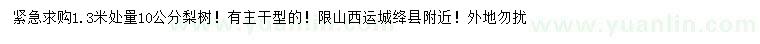 求購(gòu)1.3米處量10公分梨樹(shù)