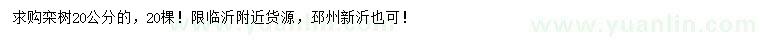 求購(gòu)20公分欒樹(shù)