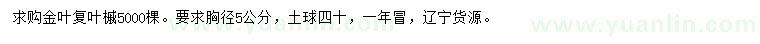 求購(gòu)胸徑5公分金葉復(fù)葉槭