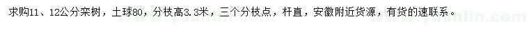 求購11、12公分欒樹