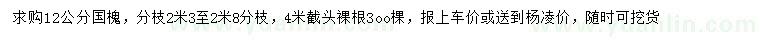 求購12公分國槐