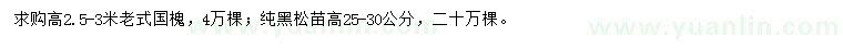 求購高2.5-3米老式國槐、高25-30公分黑松