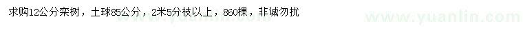 求購(gòu)12公分欒樹(shù)