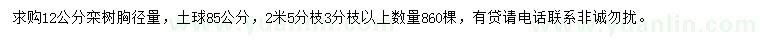 求購胸徑12公分欒樹