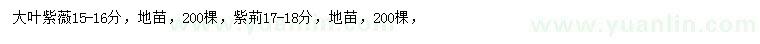求購(gòu)15-16公分大葉紫薇、17-18公分紫荊