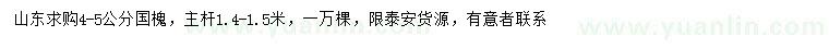 求購4-5公分國槐