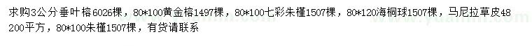 求購垂葉榕、黃金榕、七彩朱槿等