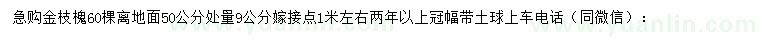 求購(gòu)50量9公分金枝槐