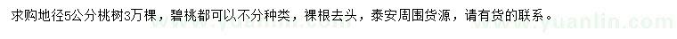 求購地徑5公分桃樹