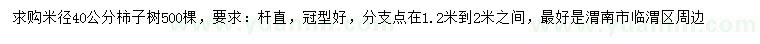 求購米徑40公分柿子樹
