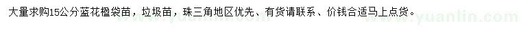 求購15公分藍花楹