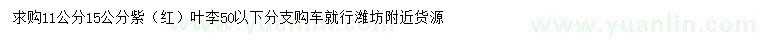 求購11、15公分紫（紅）葉李