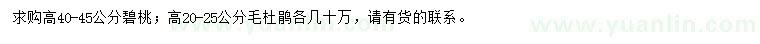 求購高40-45公分碧桃、高20-25公分毛杜鵑