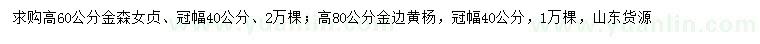 求購高60公分金森女貞、高80公分金邊黃楊