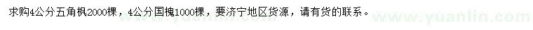 求購4公分五角楓、國槐