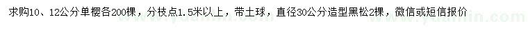 求購10、12公分單櫻、直徑30公分造型黑松