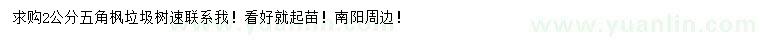 求購2公分五角楓
