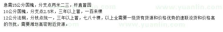 求購10、15公分國槐、12公分法桐