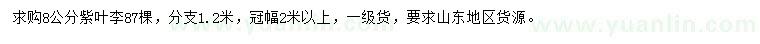 求購8公分紫葉李