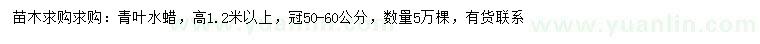 求購(gòu)高1.2米以上青葉水蠟