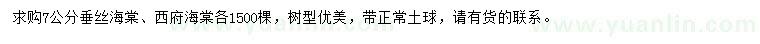 求購7公分垂絲海棠、西府海棠