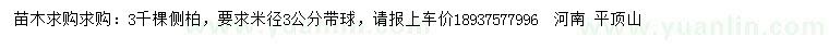 求購米徑3公分側(cè)柏