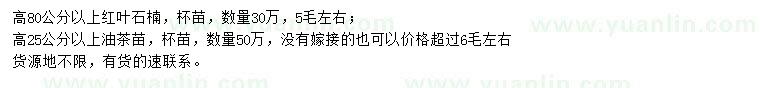 求購(gòu)高80公分以上紅葉石楠、高25公分以上油茶苗