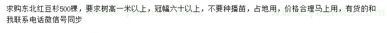求購高1米以上東北紅豆杉