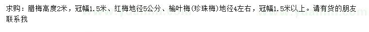 求購臘梅、紅梅、榆葉梅